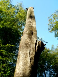 20110830Reilingen2
