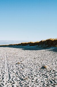 Sand grassy dunes photo