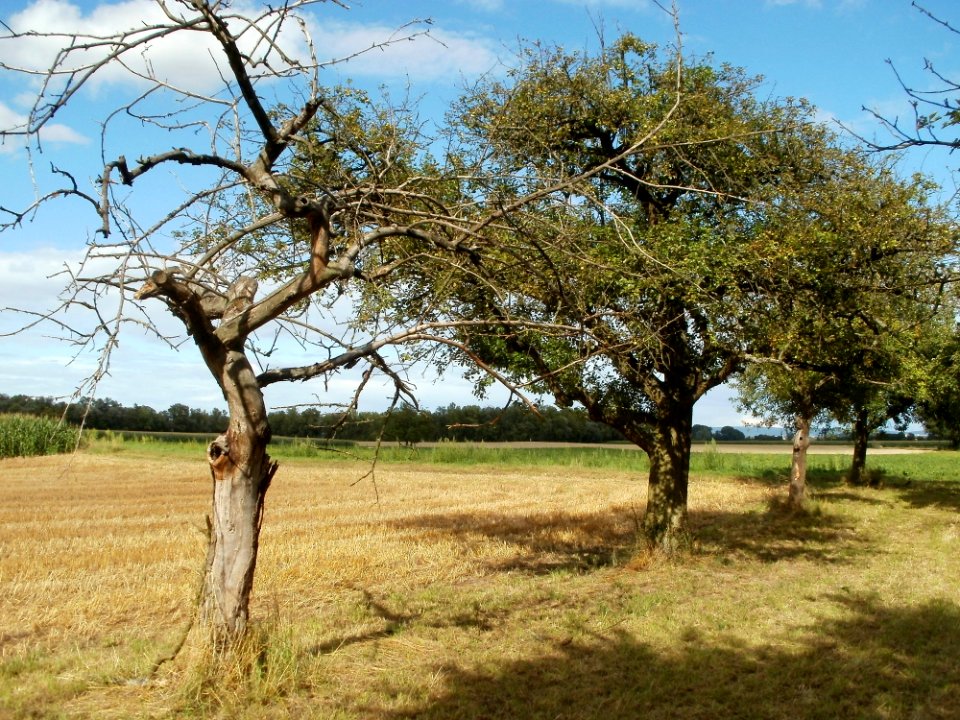 20110718Hockenheim21