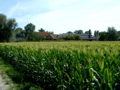 20110716Hockenheim25