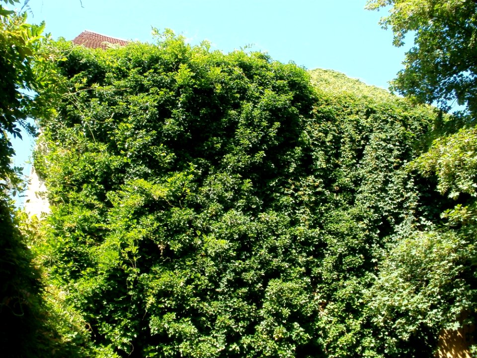 20110716Hockenheim20