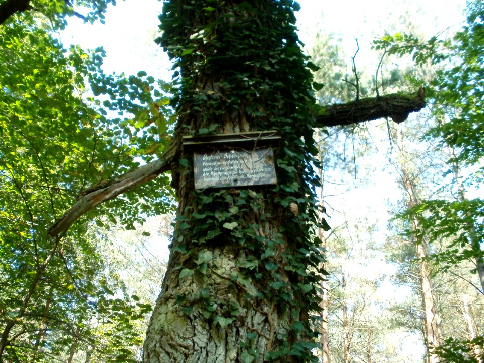 20110831Saubusch_Hockenheim