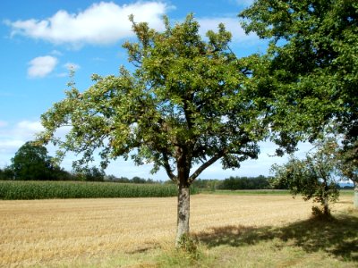 20110718Hockenheim20
