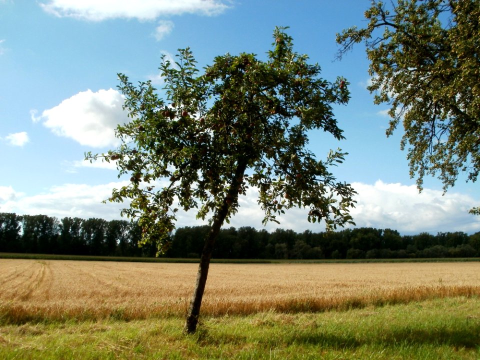 20110718Oder05