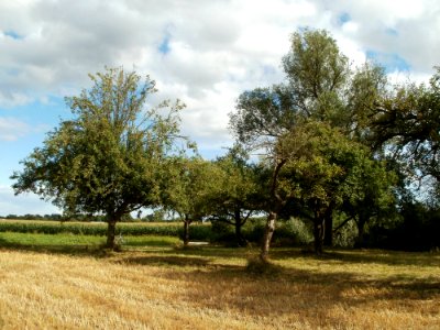 20110718Hockenheim22