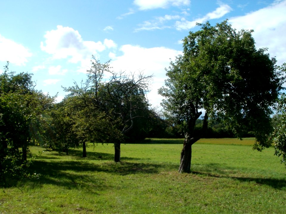 20110718Hockenheim13