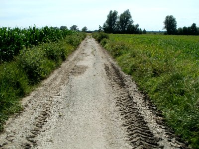 20110716Hockenheim22