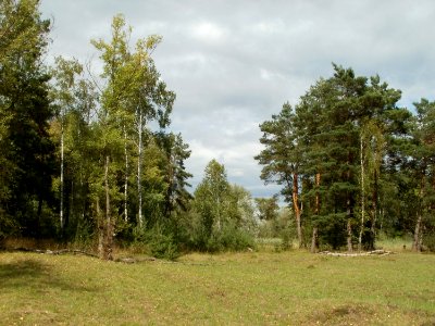 20110718Tongruben_Siegelhain04