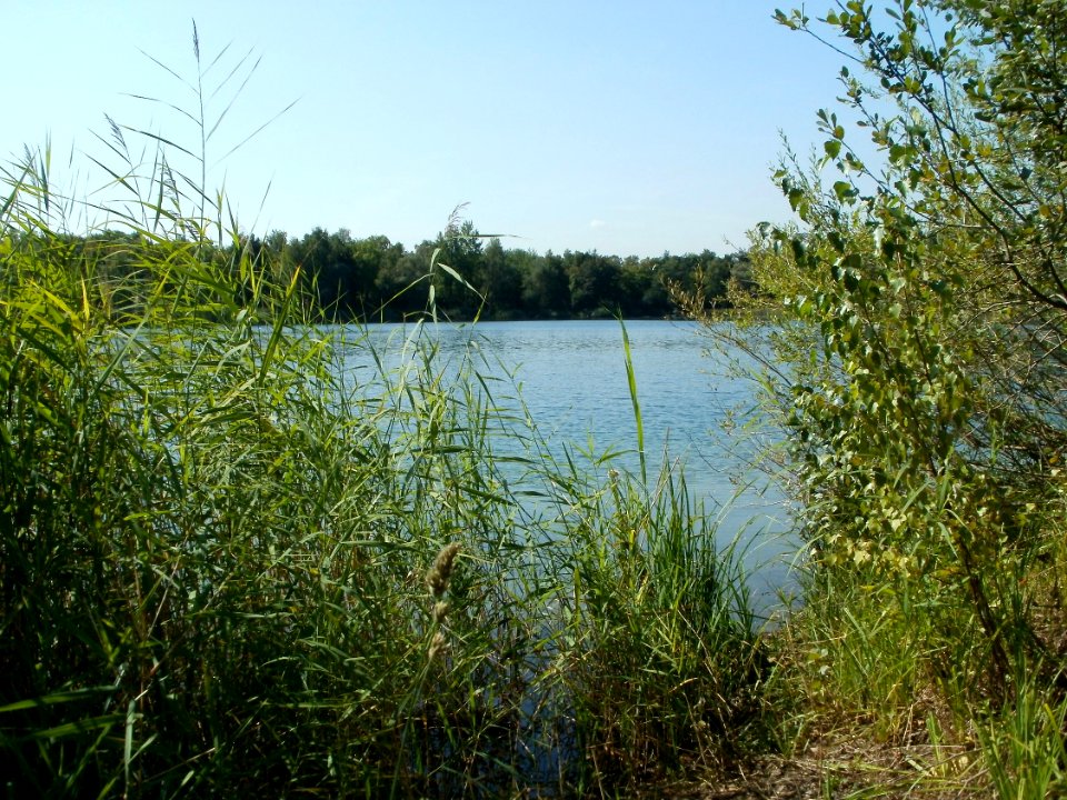 20110831Baggersee_Hockenheim4