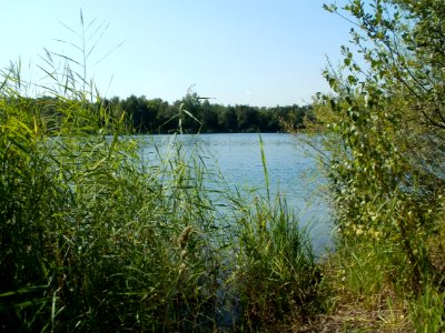 20110831Baggersee_Hockenheim4