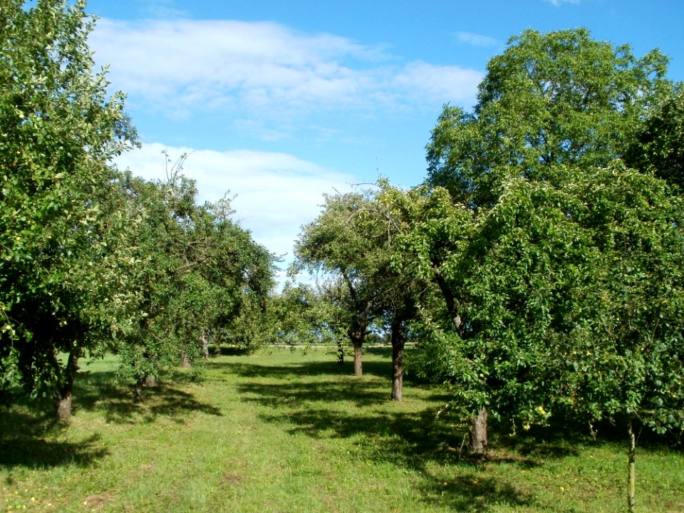 20110718Hockenheim15