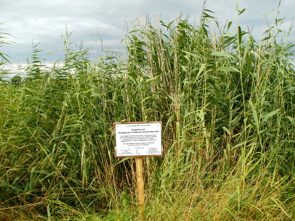 20110718Hockenheim03