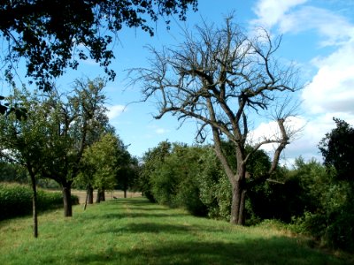 20110718Oder12