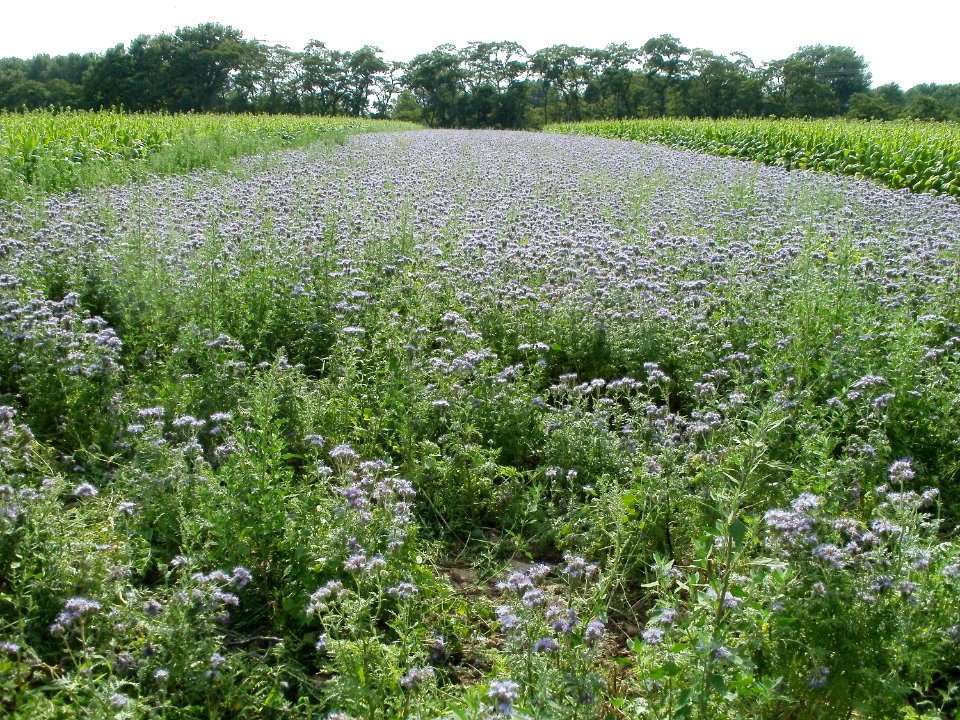 20110716Ketsch06