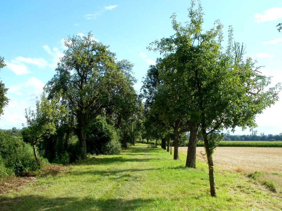 20110718Oder24
