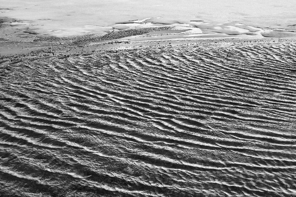 Nature wavelets circle