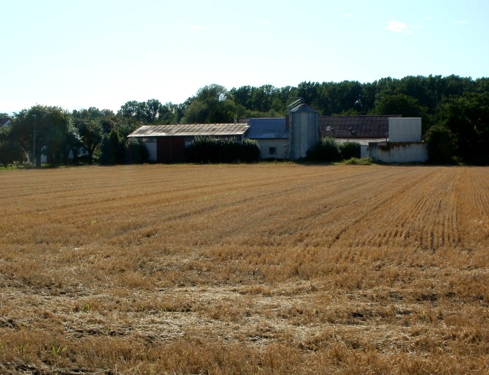 20110718Siegelhain01