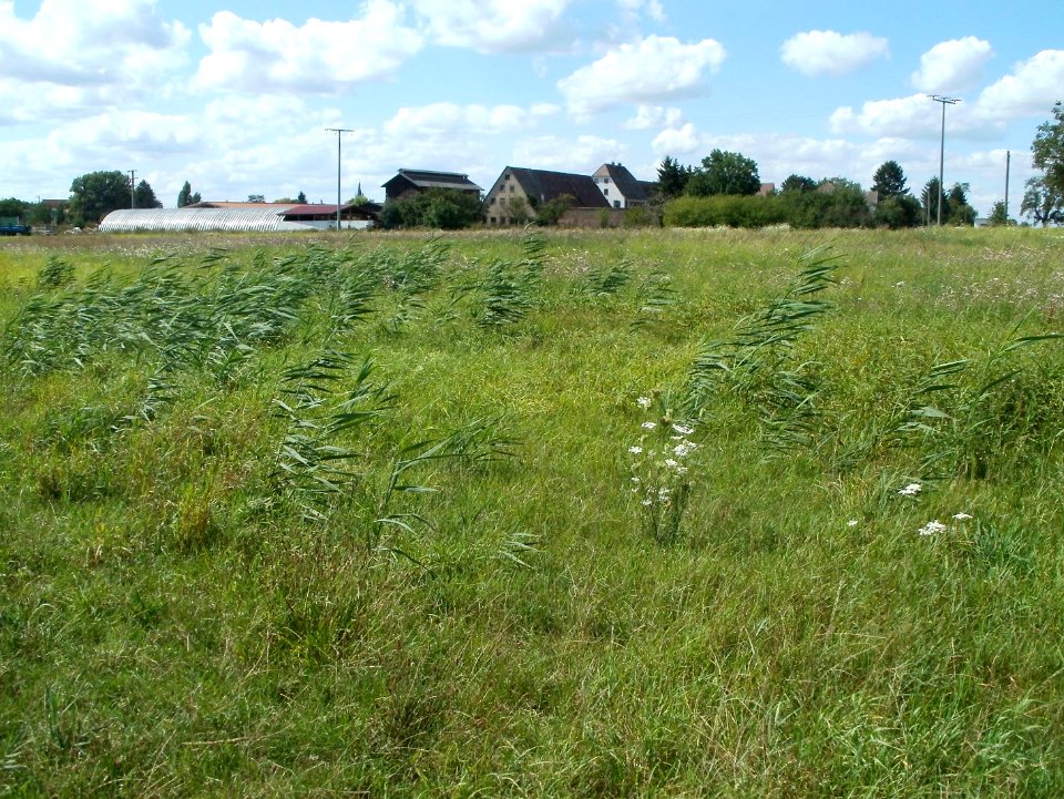 20110815Wersauer_Hof2