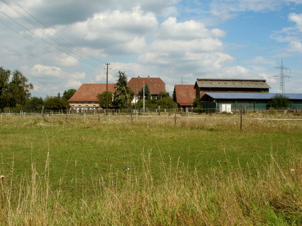 20110816Reilingen11