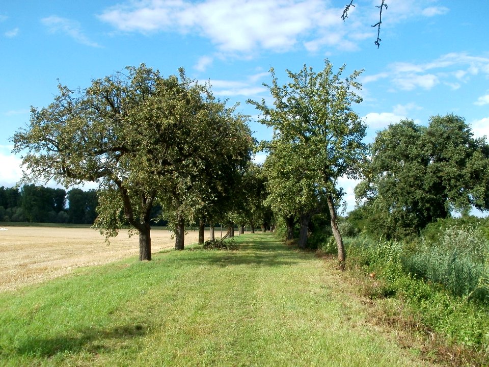 20110718Oder14