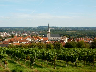 20110816Letzenberg_Wein20