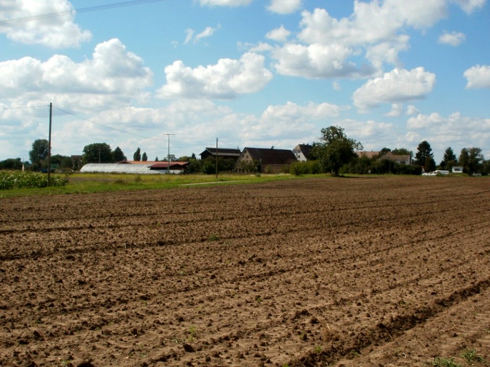 20110815Wersauer_Hof1