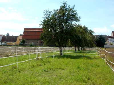 20110816Reilingen04
