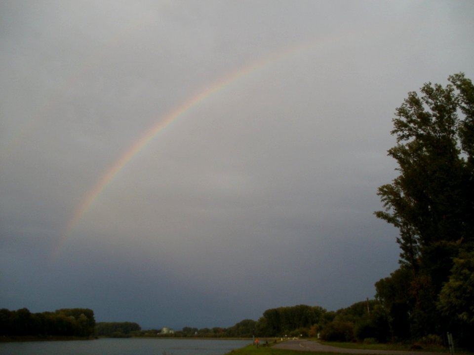 20110911Rhein_Rheinhausen3