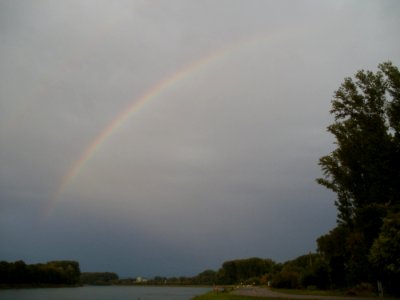 20110911Rhein_Rheinhausen3