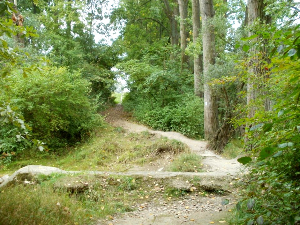 20110911Altrhein_Oberhausen1