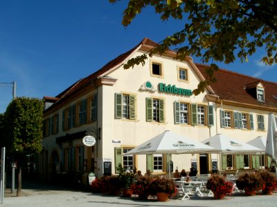 20110901Zum_Gruenen_Baum_Schwetzingen2