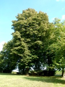 20110816Letzenberg6