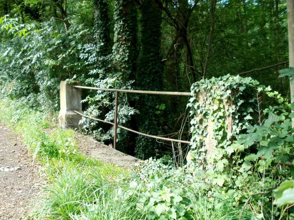 20110816Rauenberg02