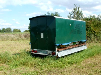 20110830Wanderimker_Reilingen1