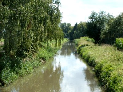 20110816Reilingen07