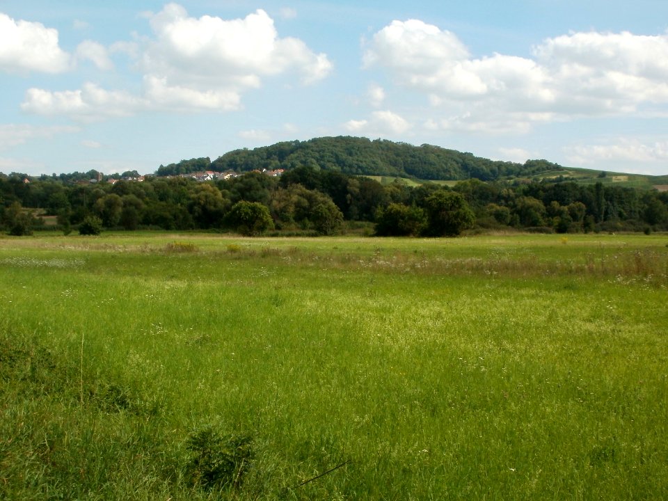 20110816Letzenberg1