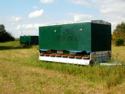 20110830Wanderimker_Reilingen6