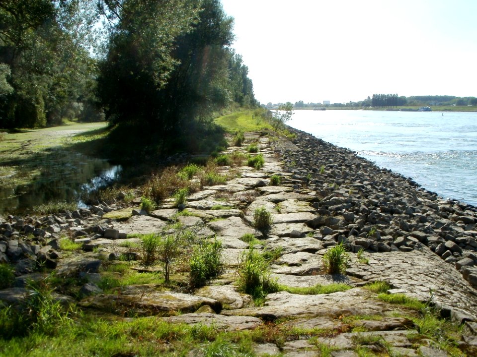 20110914Speyerer_Gruen04