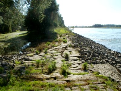 20110914Speyerer_Gruen04