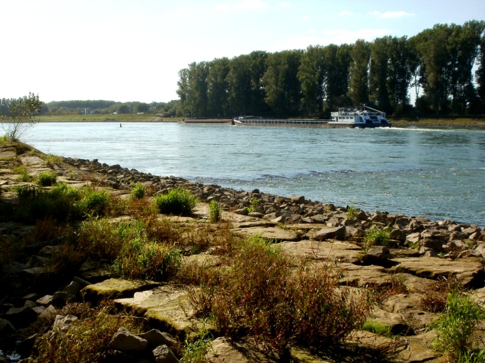 20110914Rhein_Speyer05