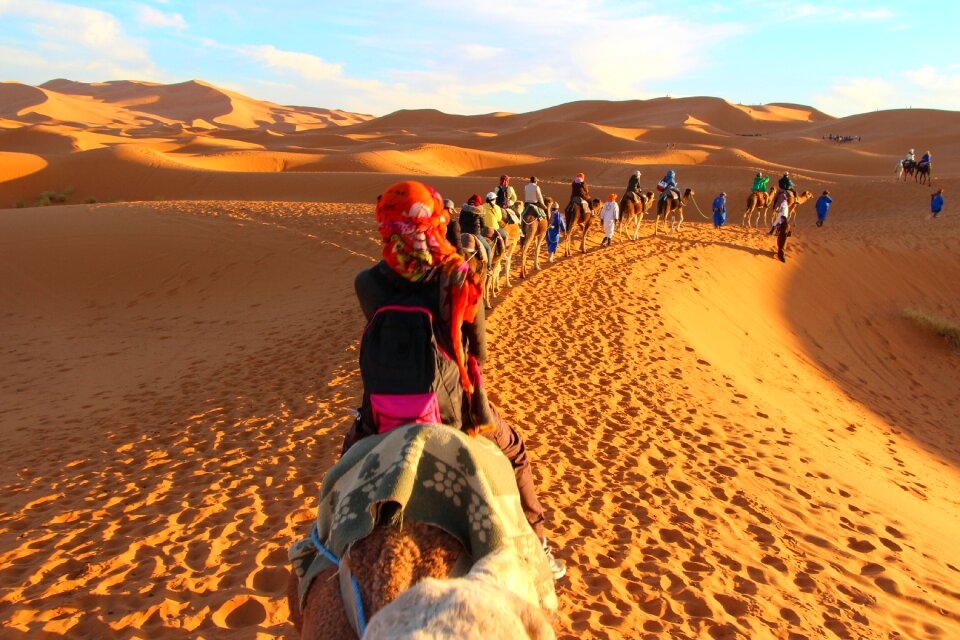 Sahara golden sands desert photo