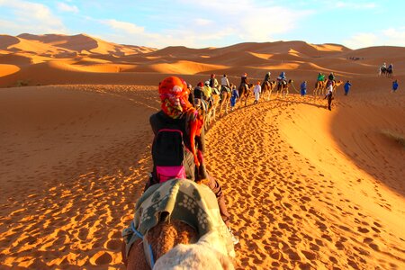 Sahara golden sands desert