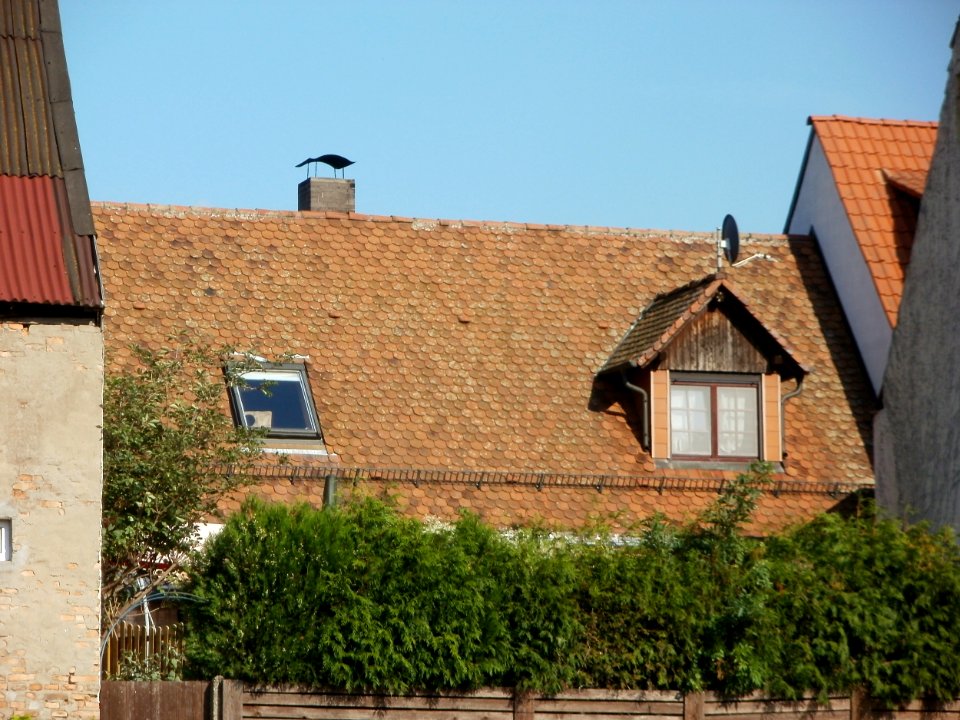 20110915Altlussheim13