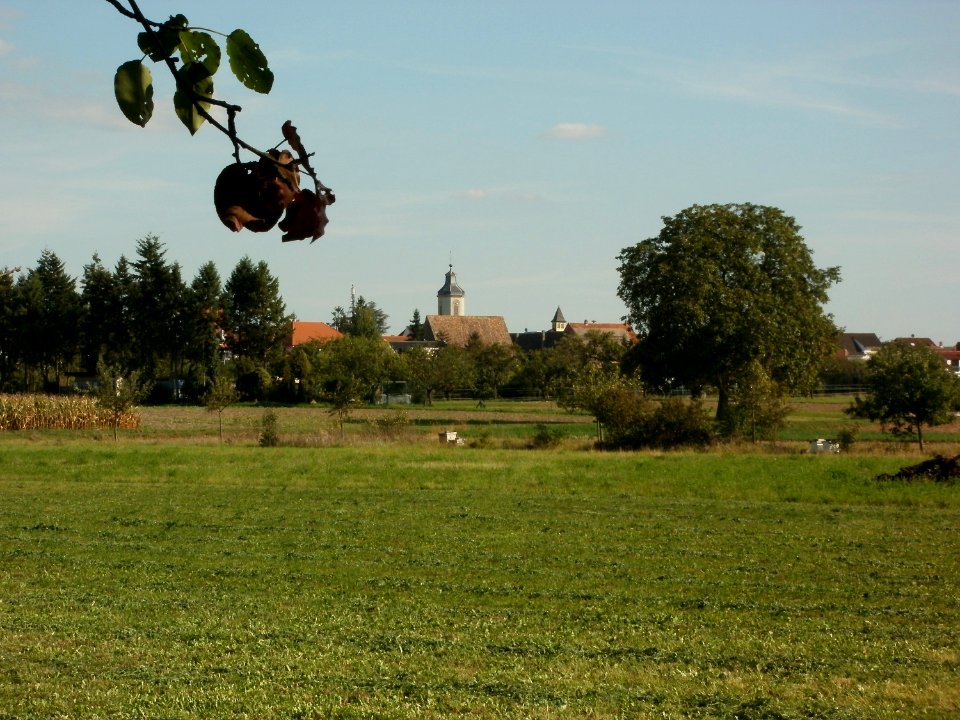 20110915Altlussheim19