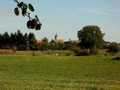 20110915Altlussheim19