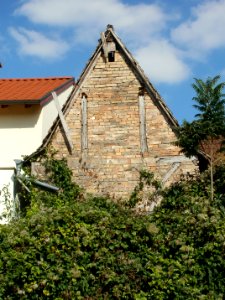20110915Altlussheim14