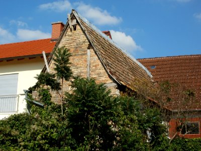 20110915Altlussheim15
