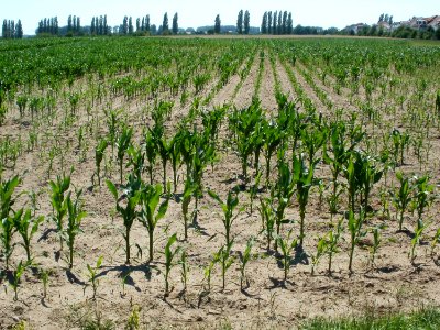 20110627Maisfeld_Hockenheim03