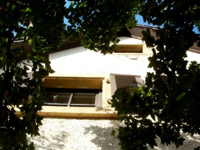 20110830St_Leon39