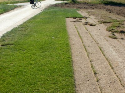 20110627Rasenfeld_Reilingen3